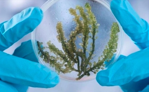 联合国最新研究：开采加密货币会对气候、水和土地造成重大环境影响