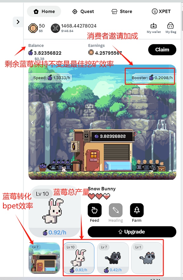 SocialFi 新贵 xPet: 离伟大临门一脚