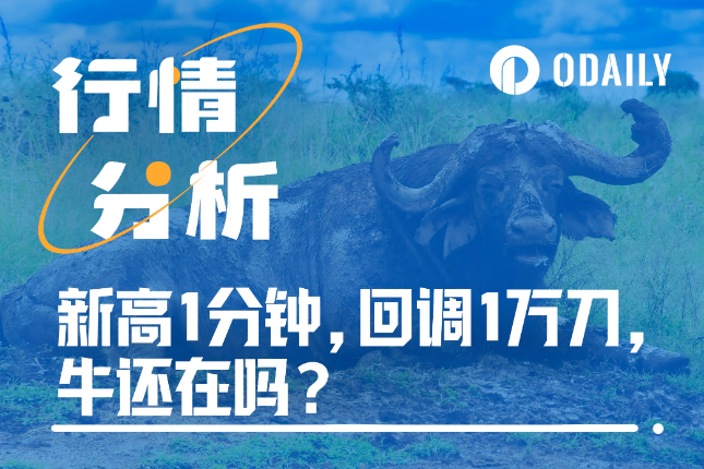 比特币新高1分钟，闪崩回调1万刀，牛还在吗？