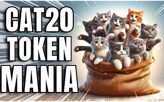 Cat20：Fractal 发币协议的终局之战（上）