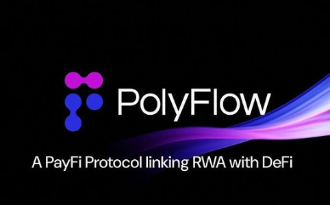 专访 PolyFlow 联创 Raymond Qu：打造 PayFi 基础设施