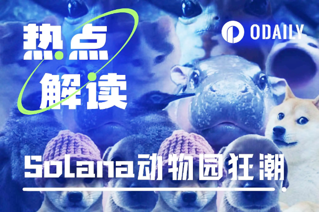 “河马“单骑救Solana，时隔三年动物园行情又回来了？