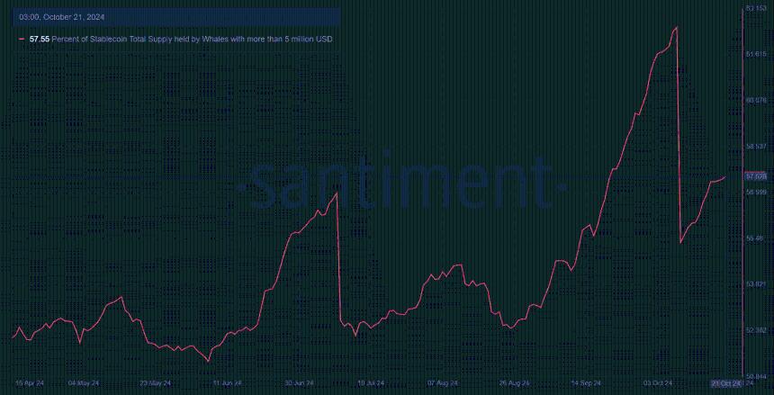 DOT whale activity