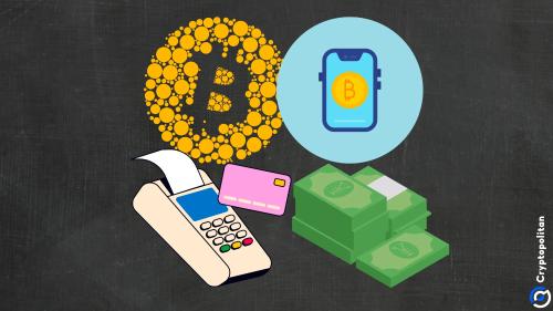  CryptoQuant首席执行官表示，到2030年，比特币可能会被用作货币 