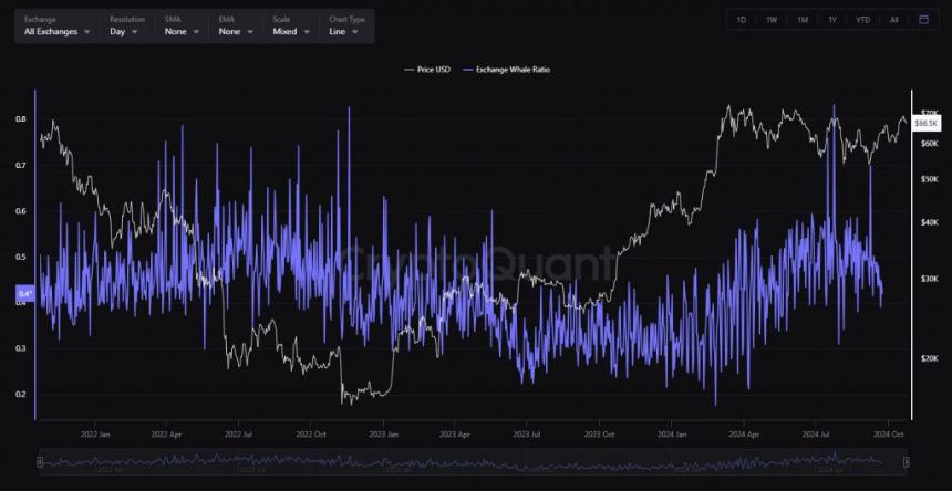  Vitalik Buterin抨击Saylor的BTC托管想法-加密社区反应 