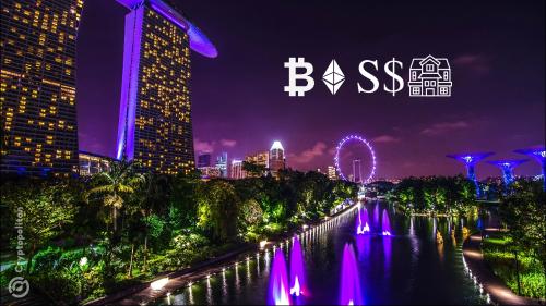 3AC联合创始人妻子以3850万美元售出新加坡豪宅