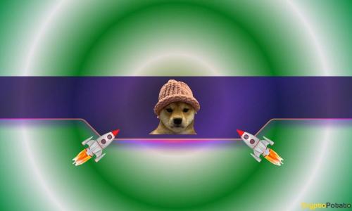 Coinbase支持下Dogwifhat（WIF）价格飙升至7个月高点