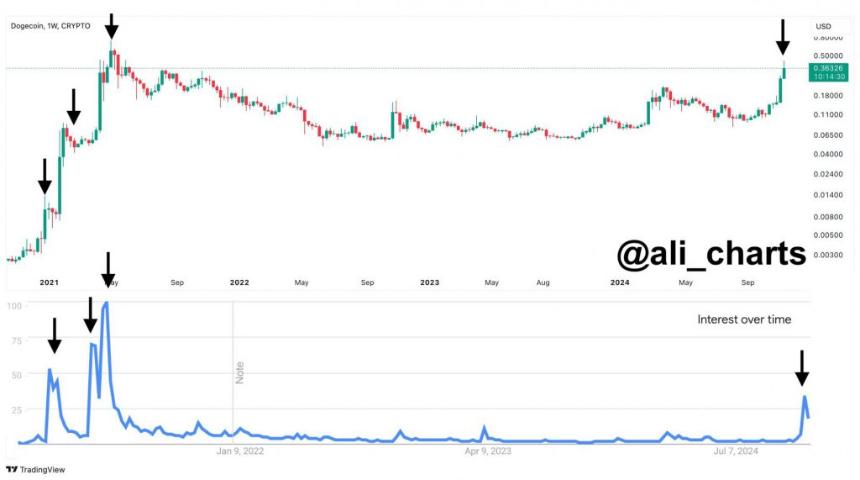  狗狗币反弹迫在眉睫：专家预测未来将激增50% 