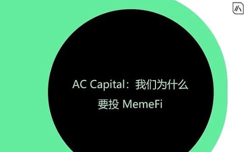 AC Capital：我们为什么要投资 MemeFi