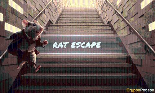 新模因币“老鼠逃脱”(Rat)在Solana上迅速崛起,吸引千名持有者