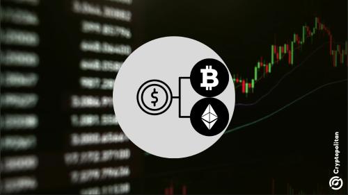 Swyftx首席分析师预测：在比特币突破10万美元前，山寨币将持续波动