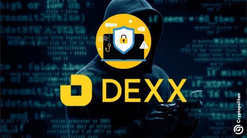 超过8620个Solana钱包受DEXX黑客事件影响，损失估计达3000万美元