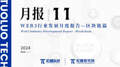 2024年11月Web3行业月度发展报告 |陀螺研究院