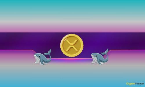 瑞波币价格逼近3美元，XRP鲸鱼活动引发市场反弹