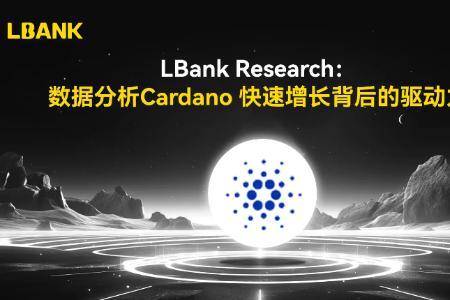 LBank Research：数据分析Cardano快速增长背后的驱动力