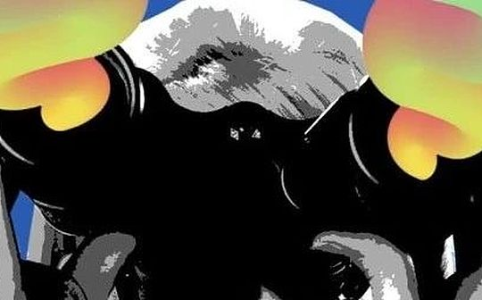 2024年加密市场叙事排行榜：Meme币称王，AI、RWA及Solana生态崛起