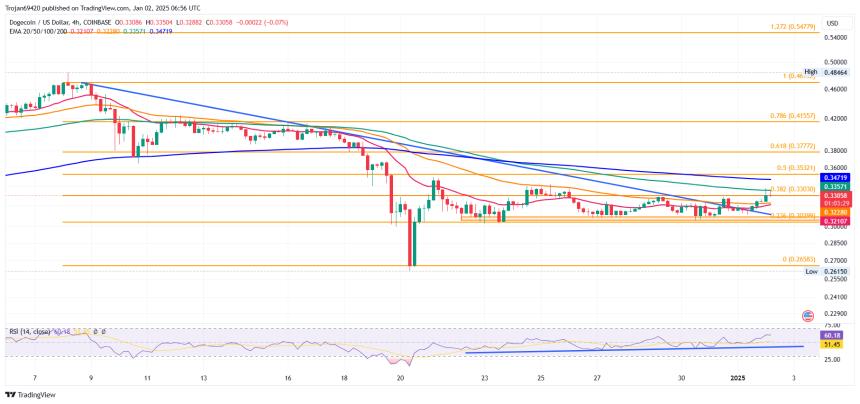 Dogecoin Price Chart