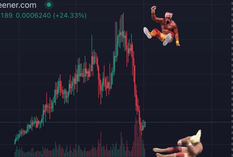 盘点2024年30个加密meme时刻