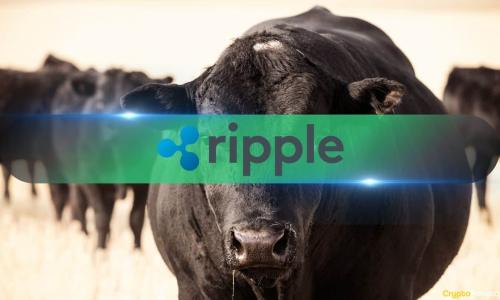 新年伊始,XRP和XLM引领山寨币市场强势反弹