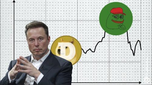 PEPE能否复制狗狗币的成功？马斯克的支持与社区的力量