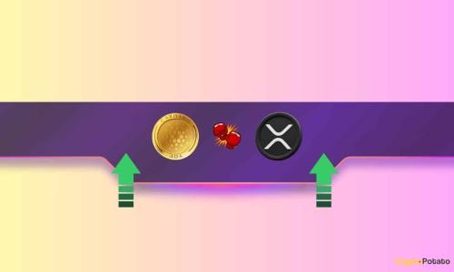 2025年前景展望：Ripple的XRP与Cardano的ADA谁将更胜一筹？