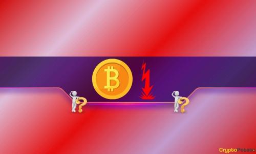 资深交易员Peter Brandt警告加密货币或将面临重大崩溃，市场观点分歧明显