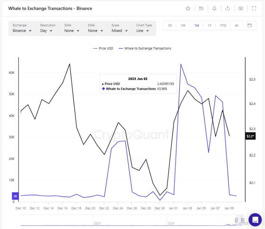 XRP Binance whale transaction chart