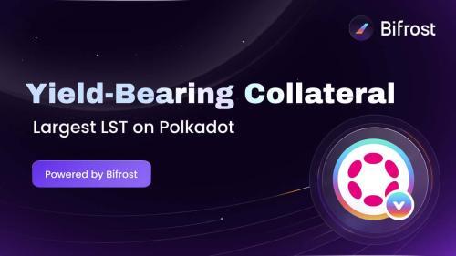 Polkadot最大LST-vDOT在15小时内触及220万美元TVL上限