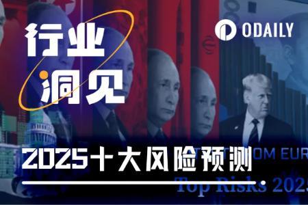 “美国第一智库”欧亚集团：2025年全球十大风险