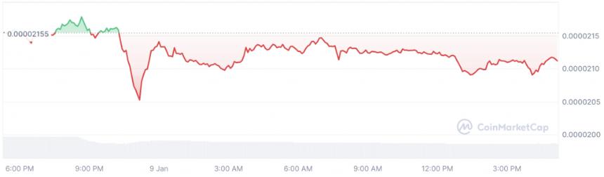 What $10 & $100 Would Have Earned if Invested in Shiba Inu at Launch