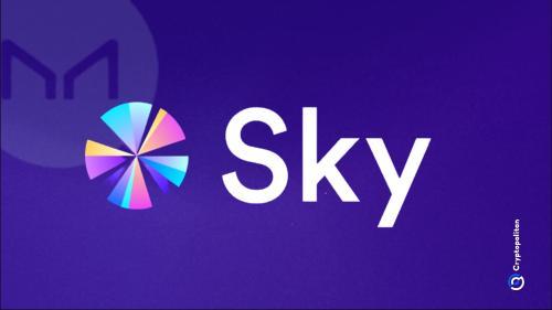 Sky Protocol因收益需求强劲将美元稳定币供应量增至新高