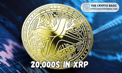 XRP社区专家提出通往20000美元的可能路径