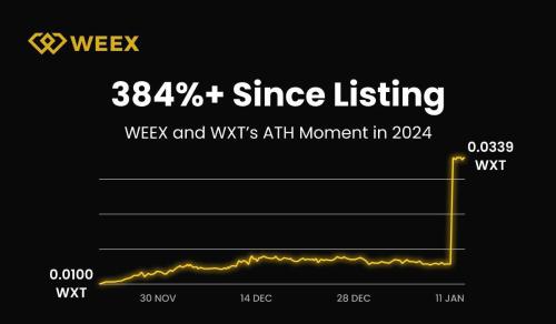 WEEX 2024年度报告：用户突破500万，日交易量超50亿美元，团队扩至500人