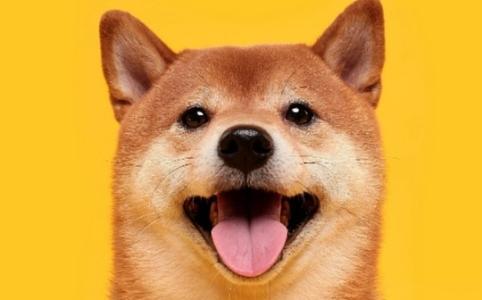 狗狗币2025年能否再现2021年的暴涨奇迹?