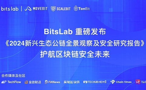 BitsLab：2024 新兴公链安全全景洞察