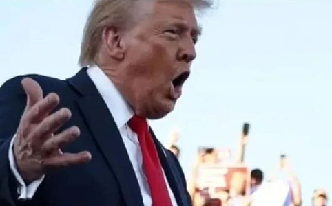 向美国总统川建国同志学习如何发行MEME币