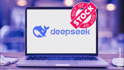 意大利和爱尔兰因隐私与安全问题禁止DeepSeek在苹果和Google设备上下载