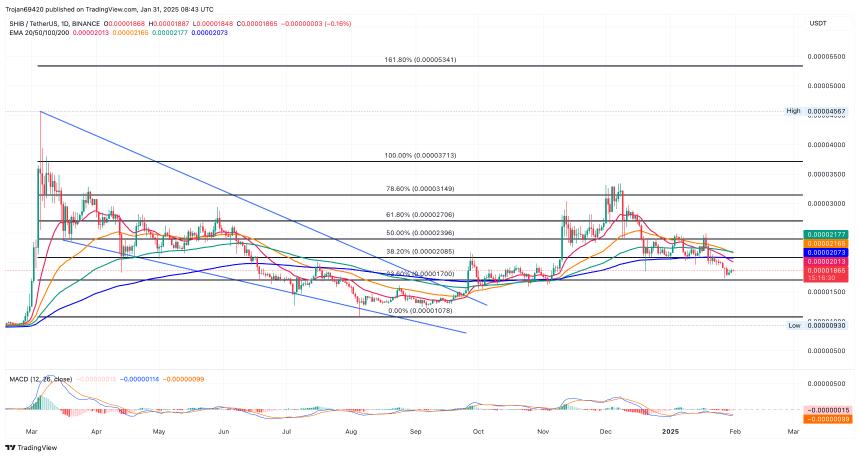 BINANCE:SHIBUSDT 图表由Trojan69420提供