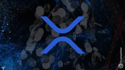 Ripple将于2025年2月解锁10亿XRP，价值约311亿美元