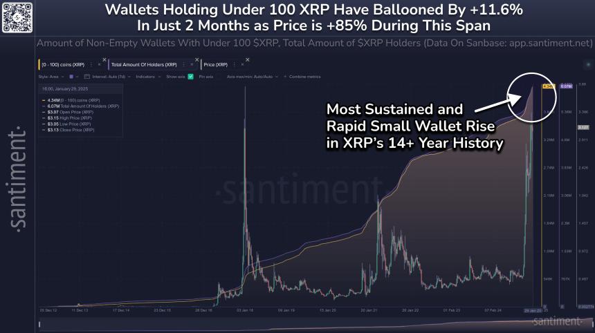 XRP记录最快的地址在历史上的增长，因为100 XRP地址在2个月内攻击了11.6％