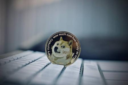 美联储政策与市场动态推动Dogecoin和Shiba Inu价格上涨