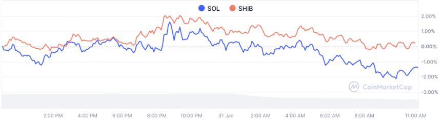Shiba Inu持有者要求Solana Bridge:正在进行的合作?