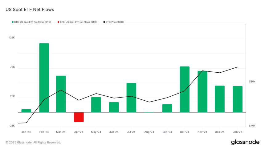 Chart showing net monthly flows into Bitcoin ETFs