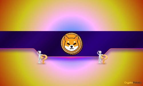 Shiba Inu每日跌幅达20%，但关键指标暗示反弹在即