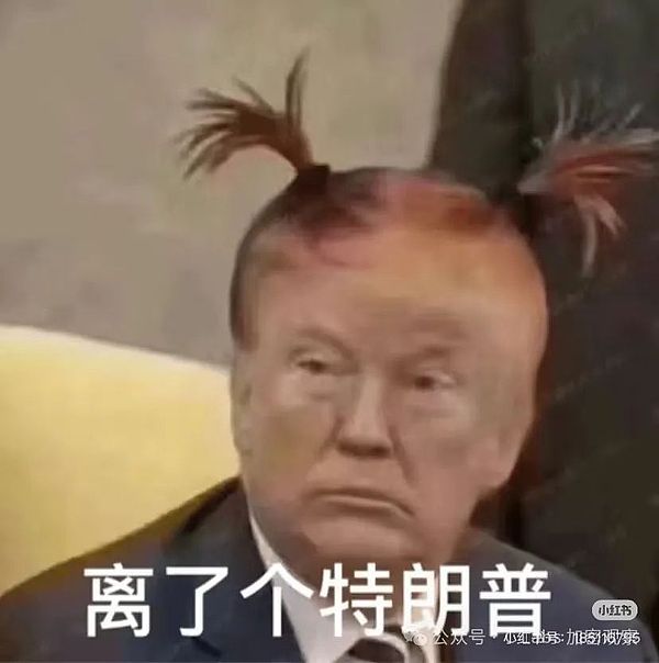 WLFI不是什么总统严选：就是收广告费的