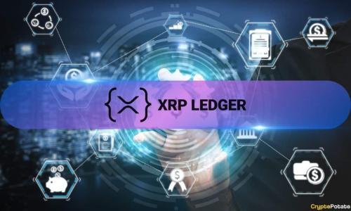 XRP Ledger在短暂“网络漂移”中断后恢复正常运行