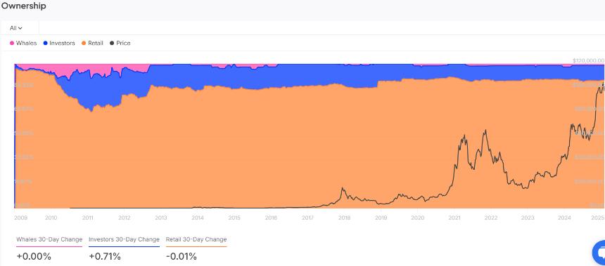 Bitcoin Historical Concentration