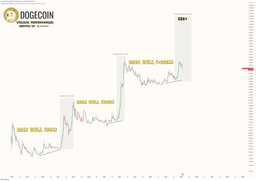 Dogecoins historical bull market performance