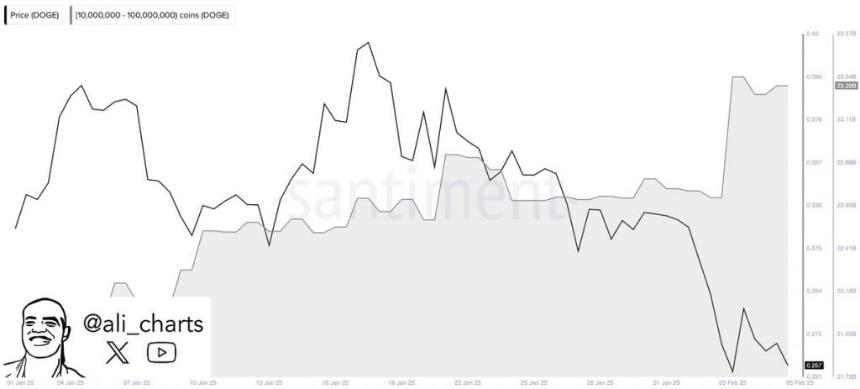 Dogecoin:AI预测2月15日的Doge价格