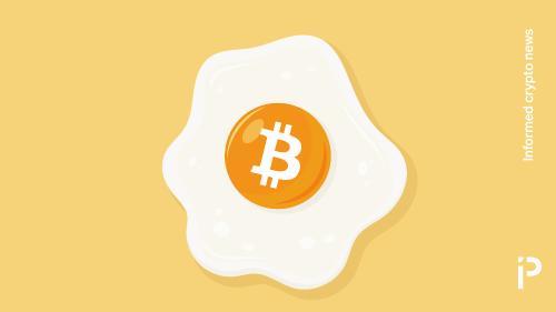 特朗普执政下，美国鸡蛋价格涨幅竟超越比特币